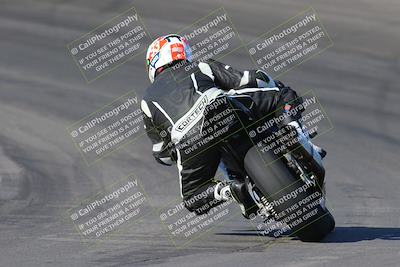 media/Nov-12-2023-SoCal Trackdays (Sun) [[5d1fba4e7d]]/Turn 10 Backside (115pm)/